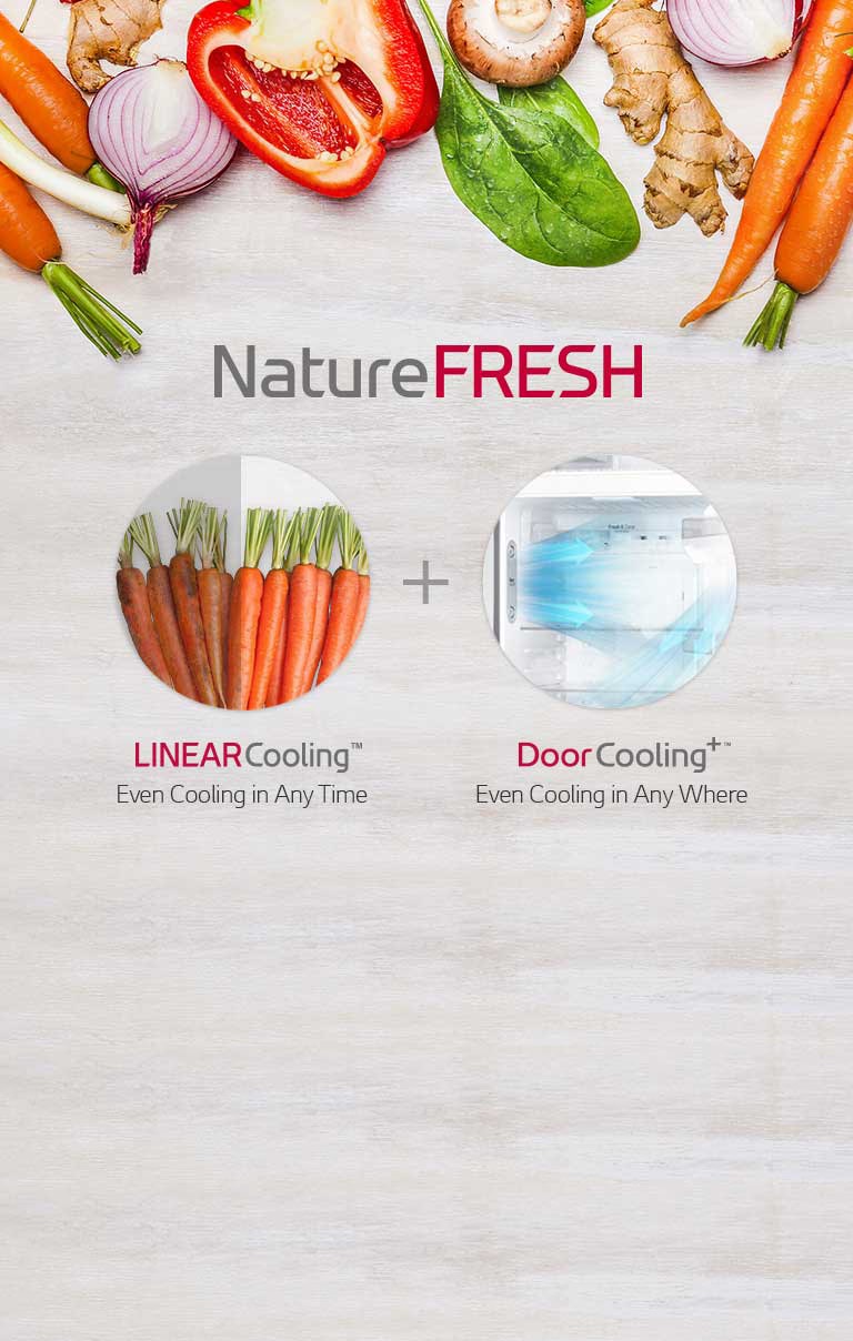 01_NatureFRESH_M_v1