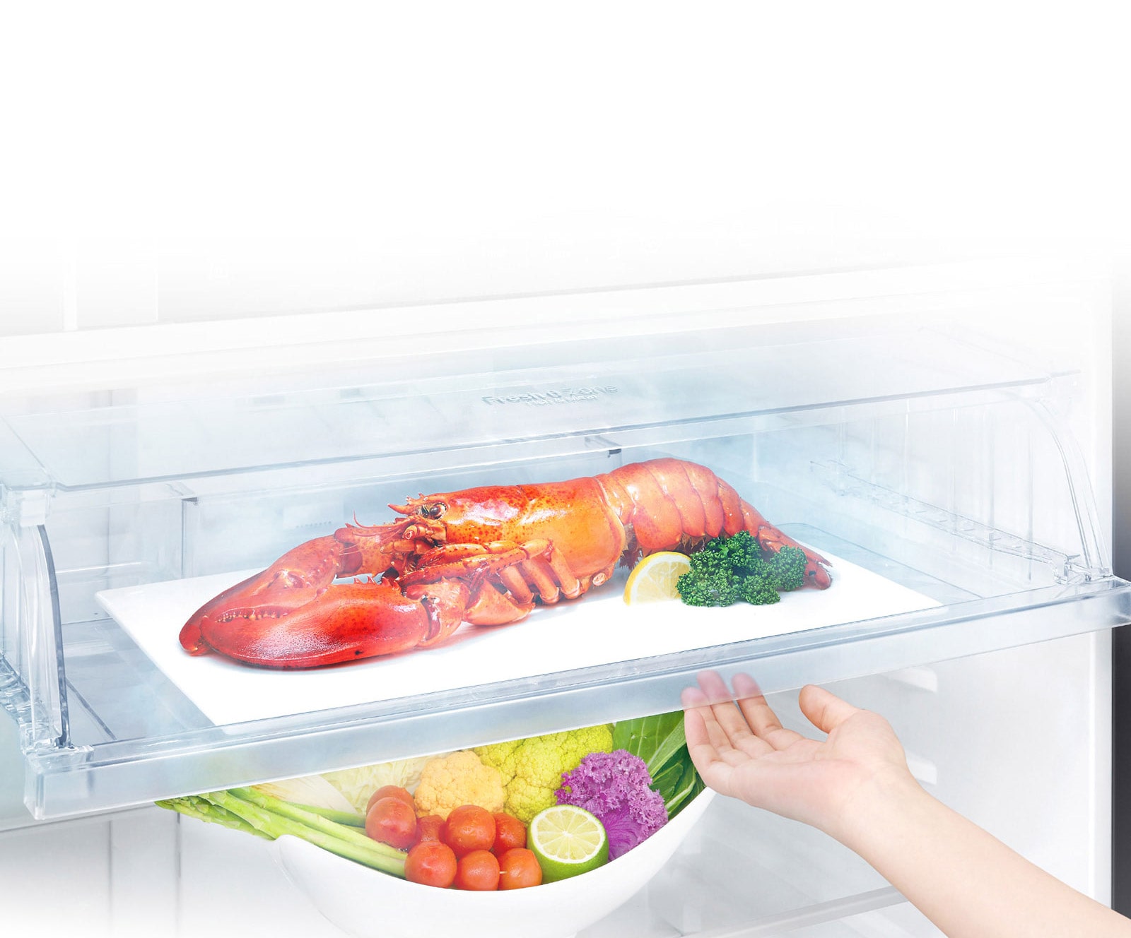 Save your time for defrosting3