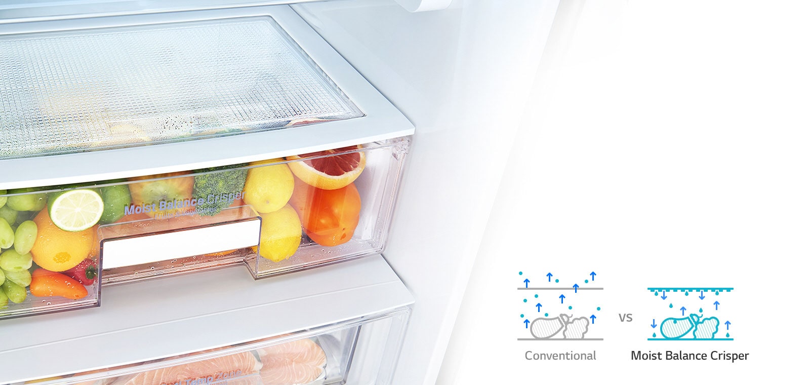Moist Balance Crisper<br>1