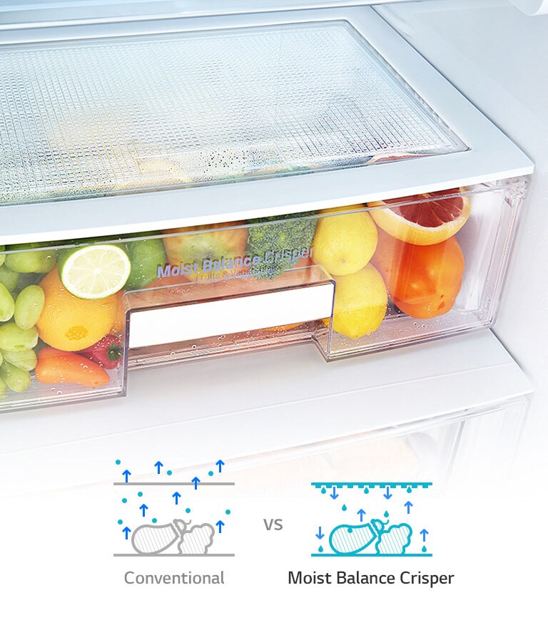 Moist Balance Crisper<br>2