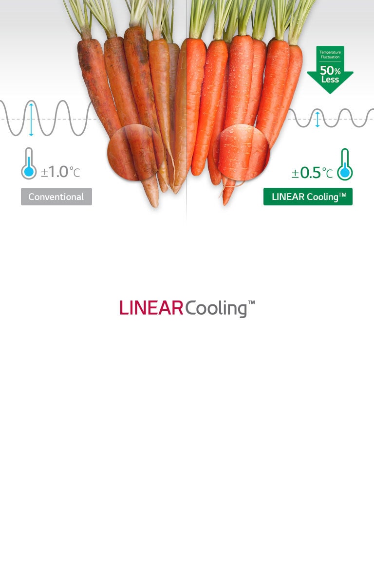 <h3>Even Cooling in Any Time</h3>2