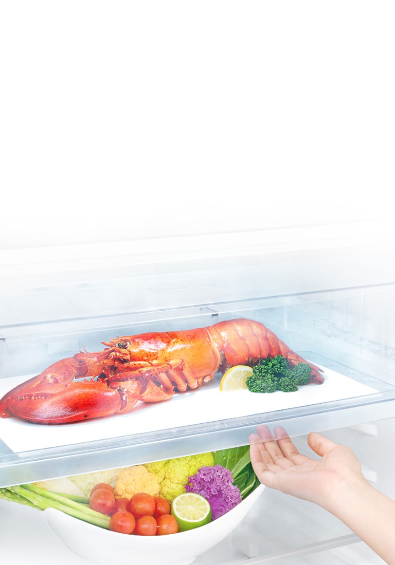 Save your time for defrosting4