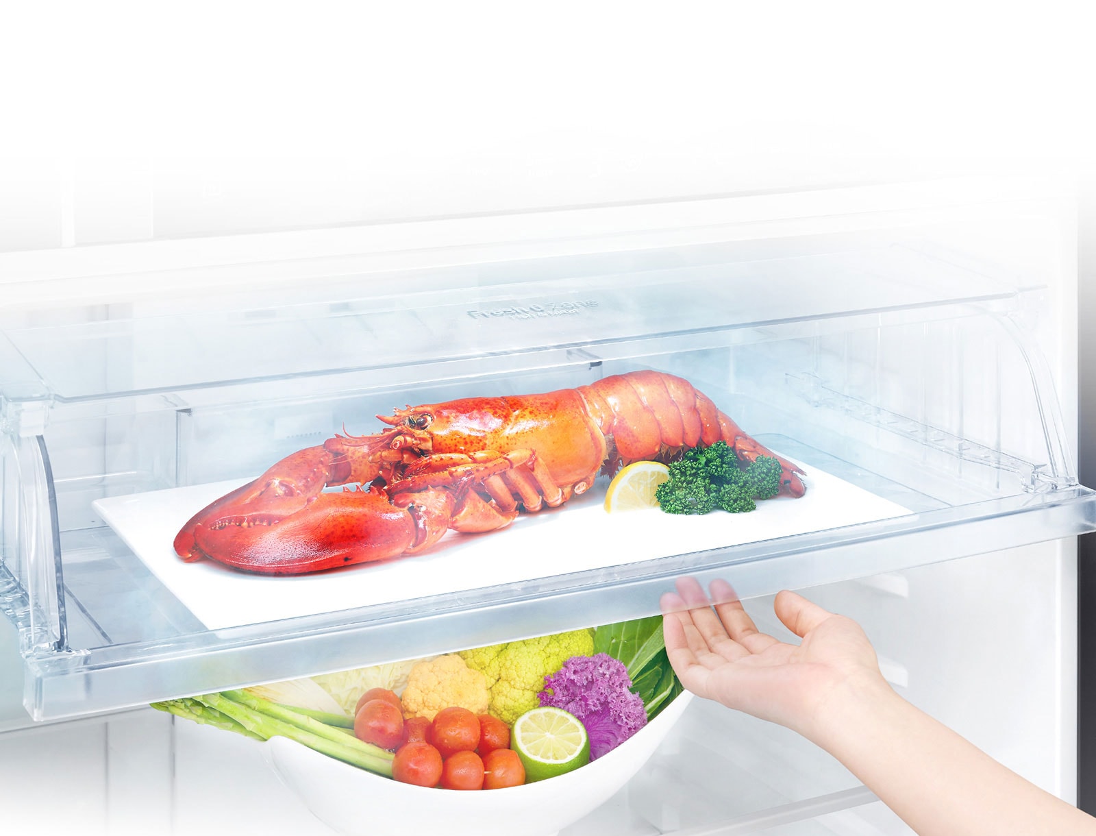 Save your time for defrosting3