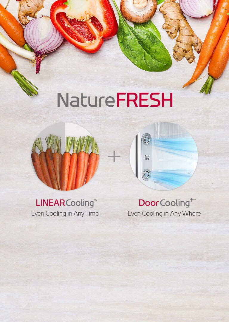 Global_Alpha4_Disp_2017_Feature_01_NatureFRESH_M_v1