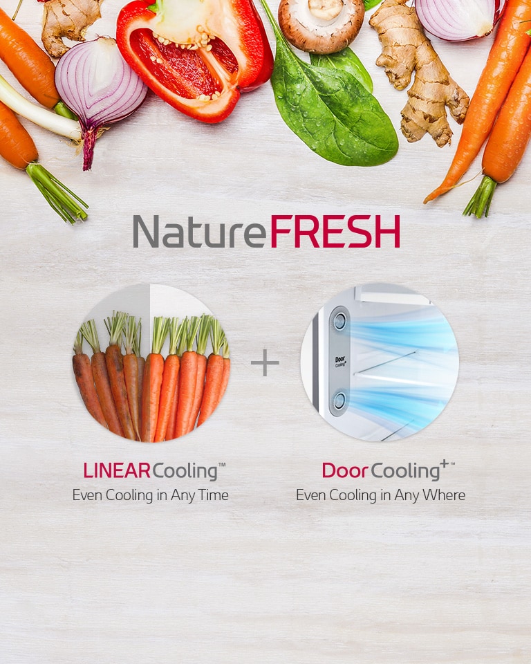 Global_Omega2_Disp_2017_Feature_01_NatureFRESH_M