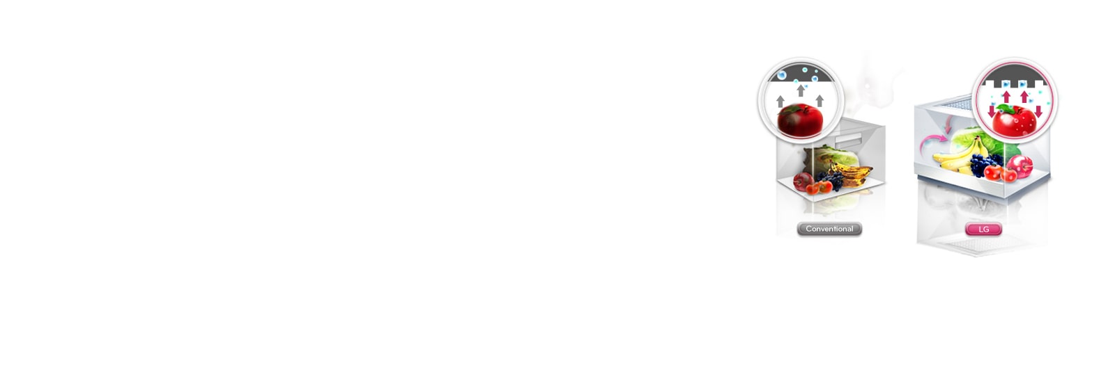 Moist Balance Crisper