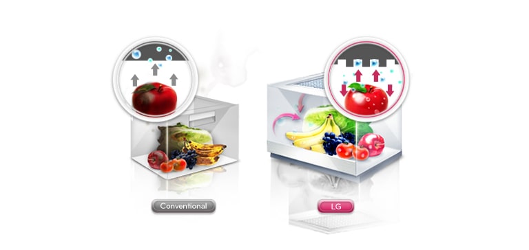 Moist Balance Crisper