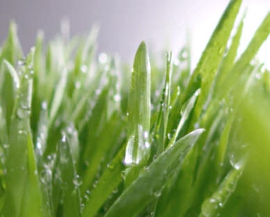 REF-NatureFRESH-Next8-01-Story-05-Small-Thumb01-Desktop