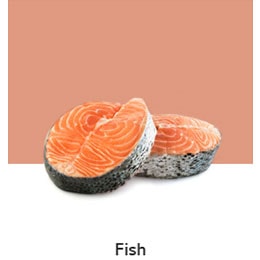 REF-NatureFRESH-Next8-03-UsefulTips-04-12-Fish