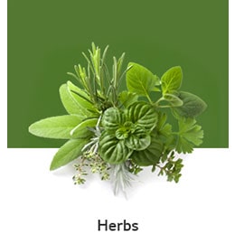 REF-NatureFRESH-Next8-03-UsefulTips-04-6-Herbs