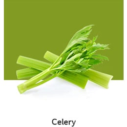 REF-NatureFRESH-Next8-03-UsefulTips-04-7-Celery