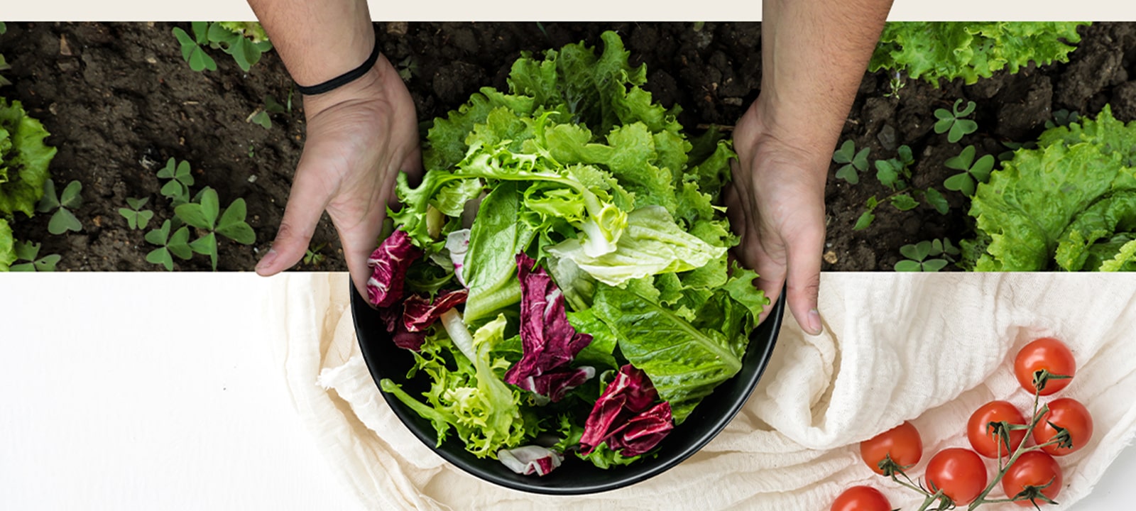 Bowl of fresh vegetables as if freshly harvested from a farm with the help of a refrigerator's cooling technology.
