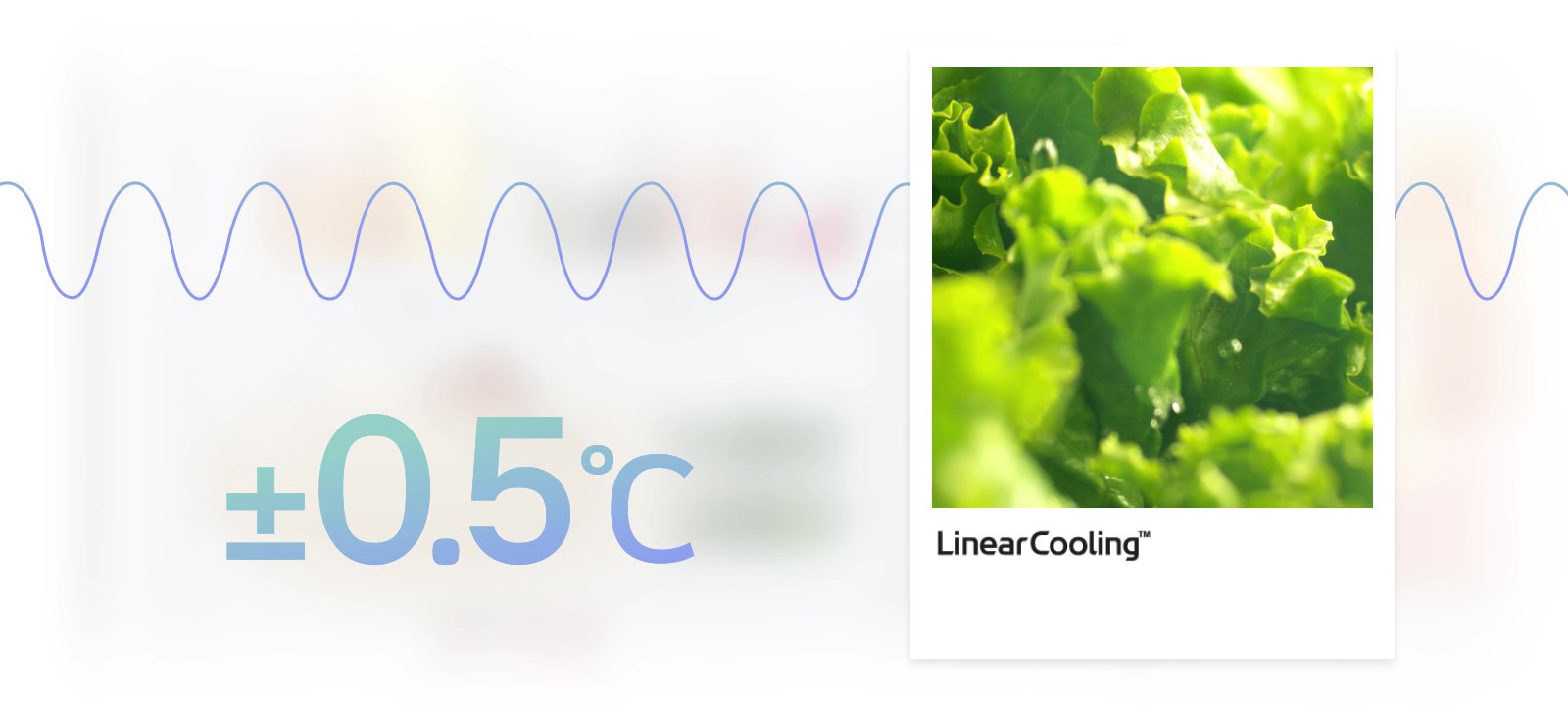 lg refrigerator linear cooling keeps food fresh for up to 7 days with plus or minus 0.5 celcius temperature control.