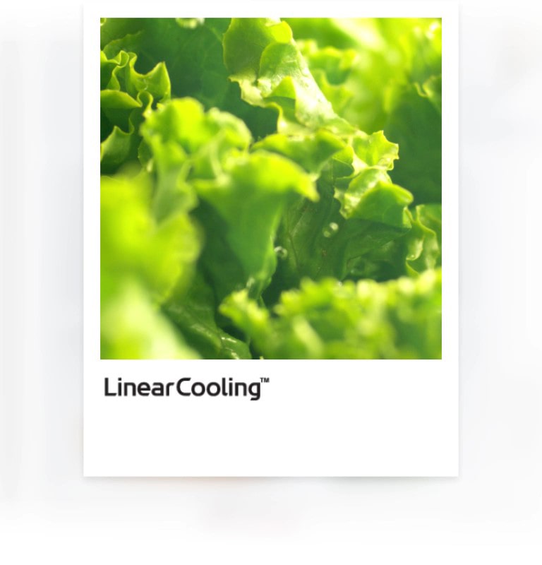 lg refrigerator linear cooling keeps food fresh for up to 7 days with plus or minus 0.5 celcius temperature control.