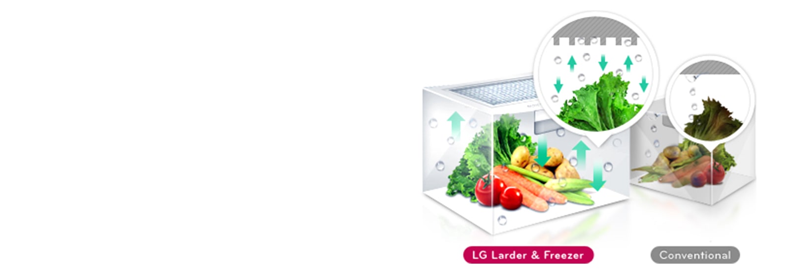 Moist Balance Crisper™