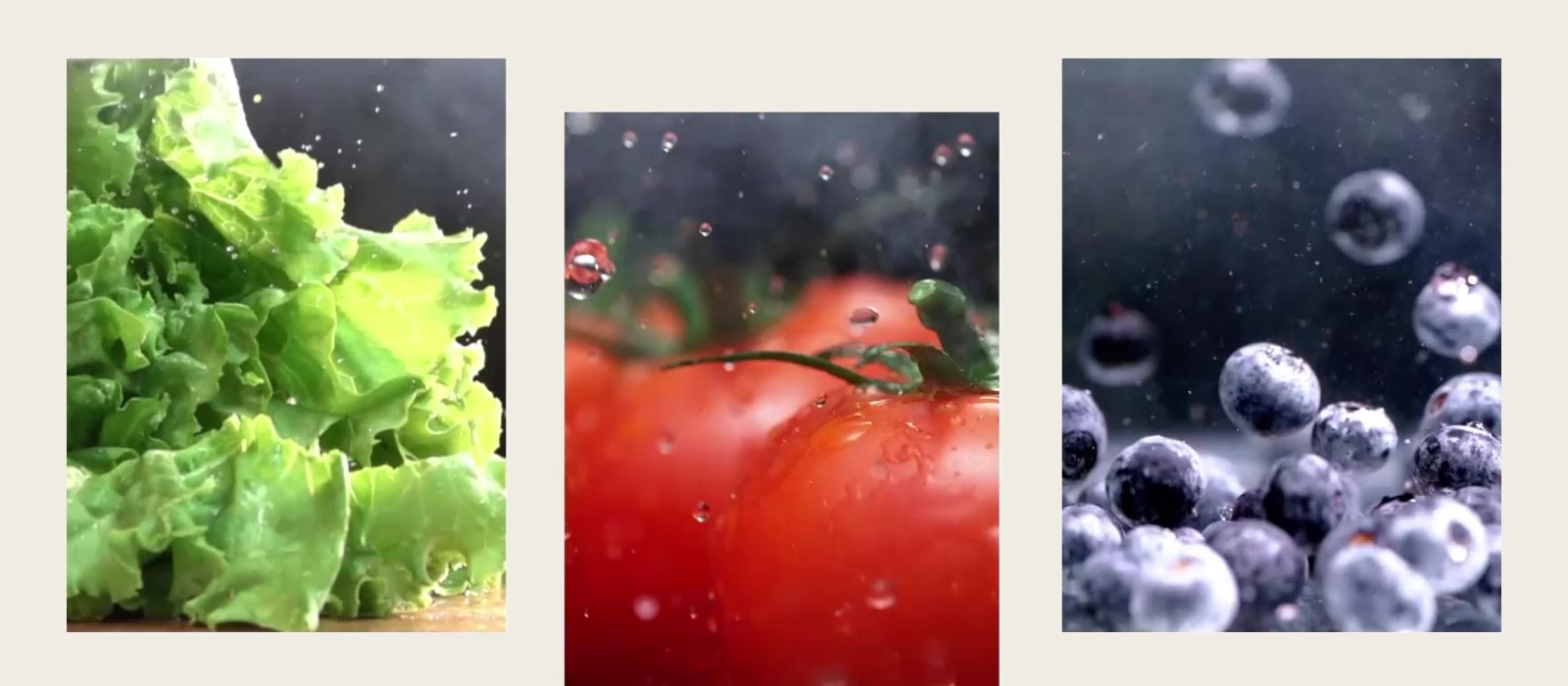 An image of crisp green lettuce is next to an image of fresh red tomatoes, and an image of bright blueberries.