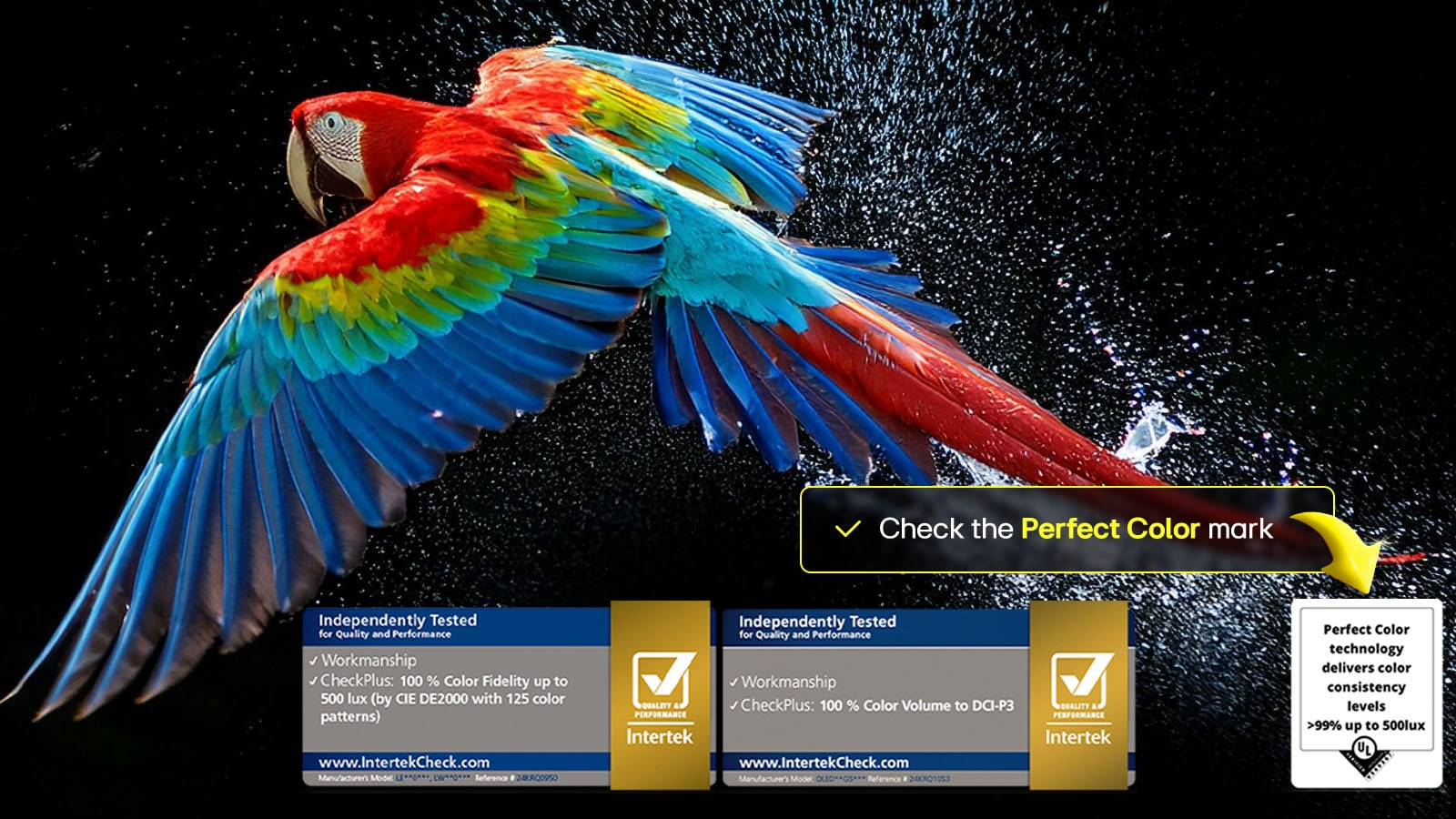 Colorful parrot in ultra-high definition against a black background. Water drops are suspended in the air all around it. The image showcases Perfect Color as each different hue on the parrot's body is vibrant and vivid. Different logo certifications from UL and Intertek are visible. These refer to 100% Color Fidelity and 100% Color Volume. Text is also visible, check the Perfect Color certification mark.
