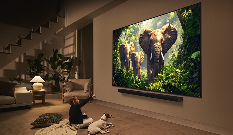 A girl and a dog are seated in front of a LG QNED TV mounted on a wall depicting three elephants walking outwards above a LG Soundbar. 