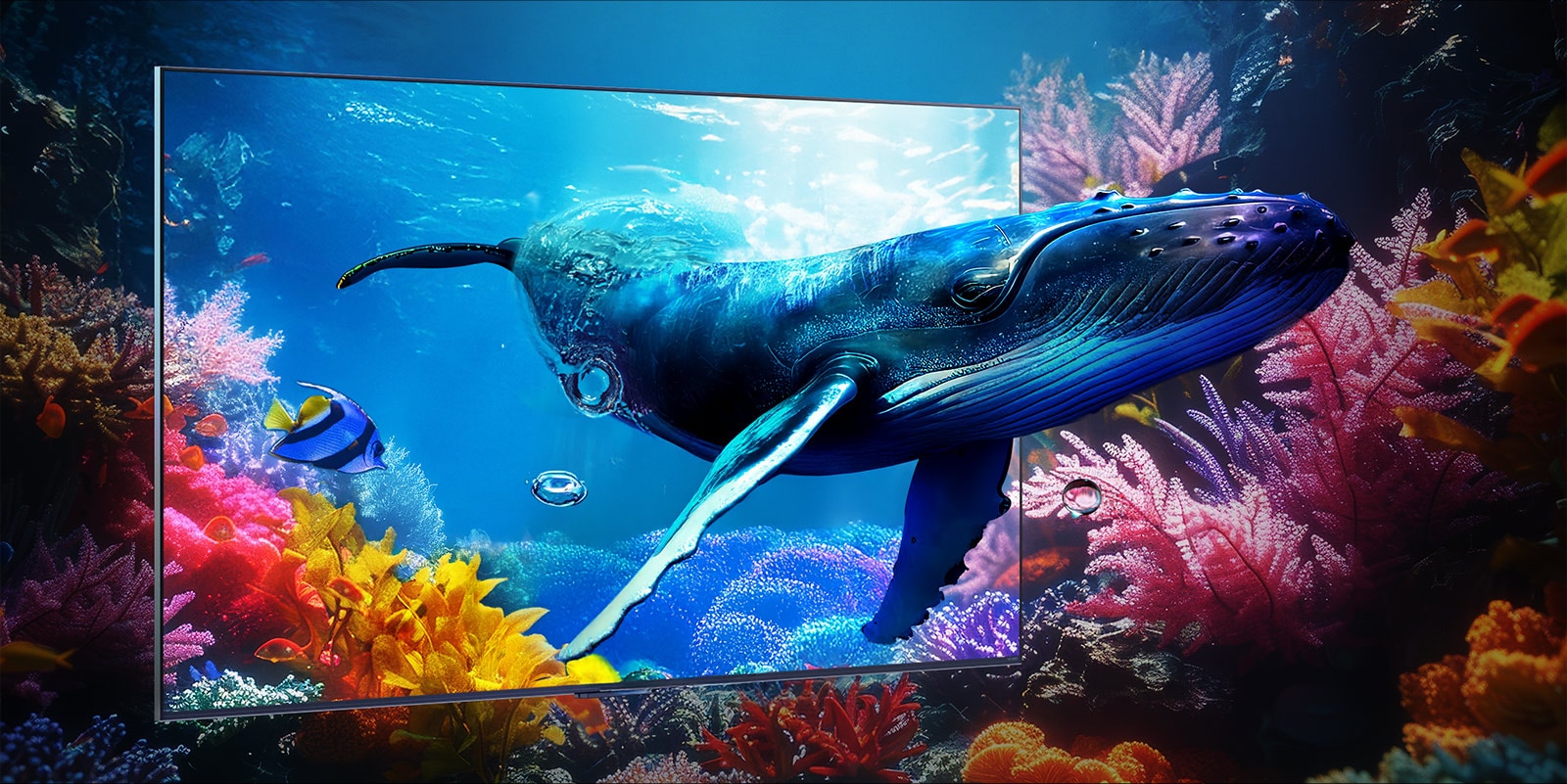 A whale swims out towards the viewer through a QNED9M placed amidst the corals in the ocean.