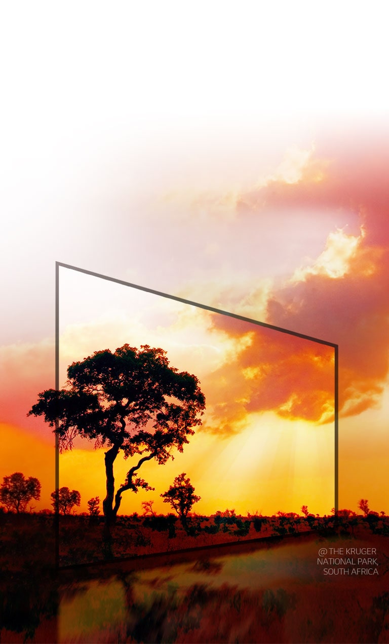 Active HDR, unlike other conventional HDRs2