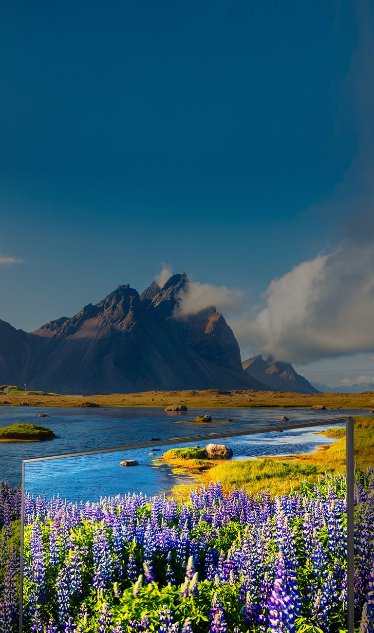 Full HD revolutionizing image clarity and color2