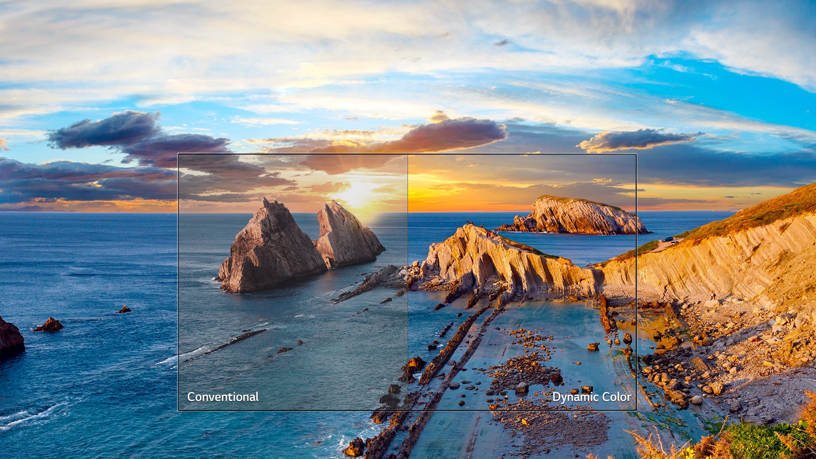 03_LK61_A_Dynamic_color_desktop