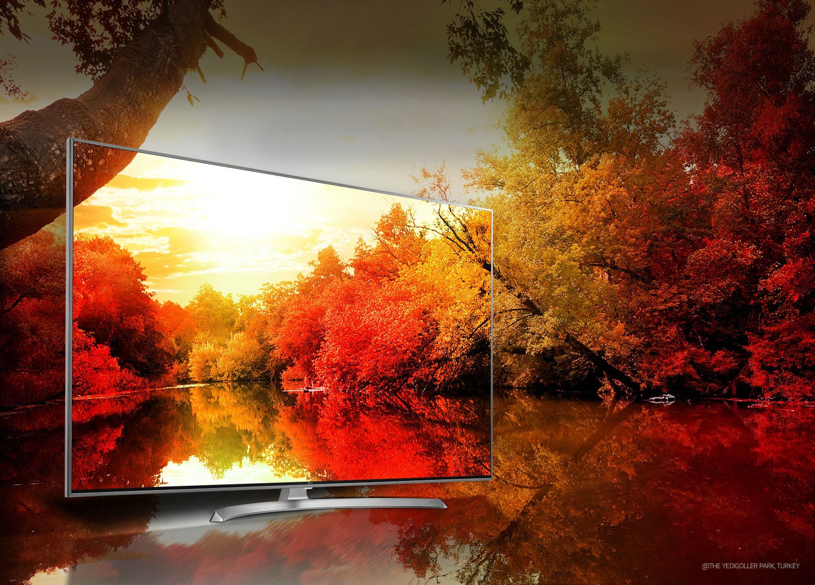 Colors to impress through billion rich colors1