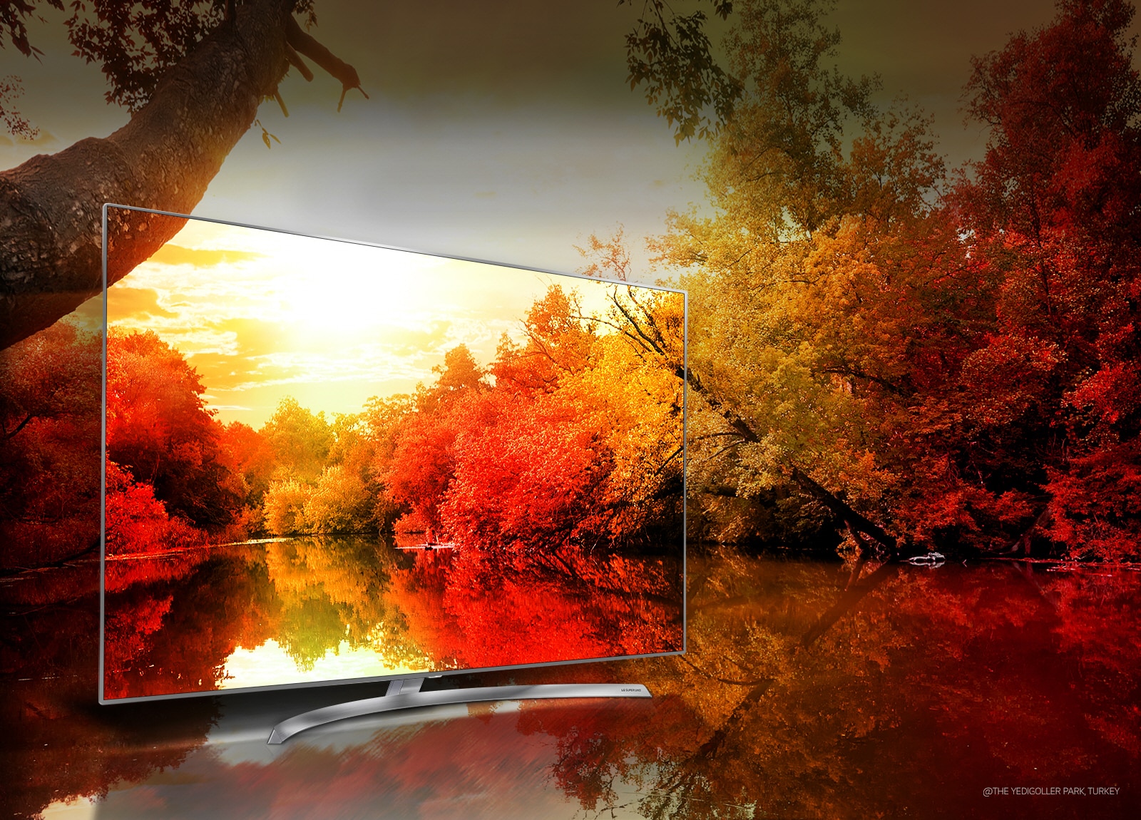 Colors to impress through billion rich colors1