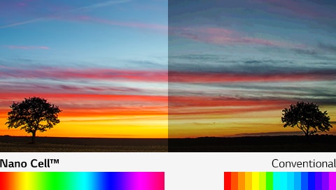 Billion Rich Colors<br>1