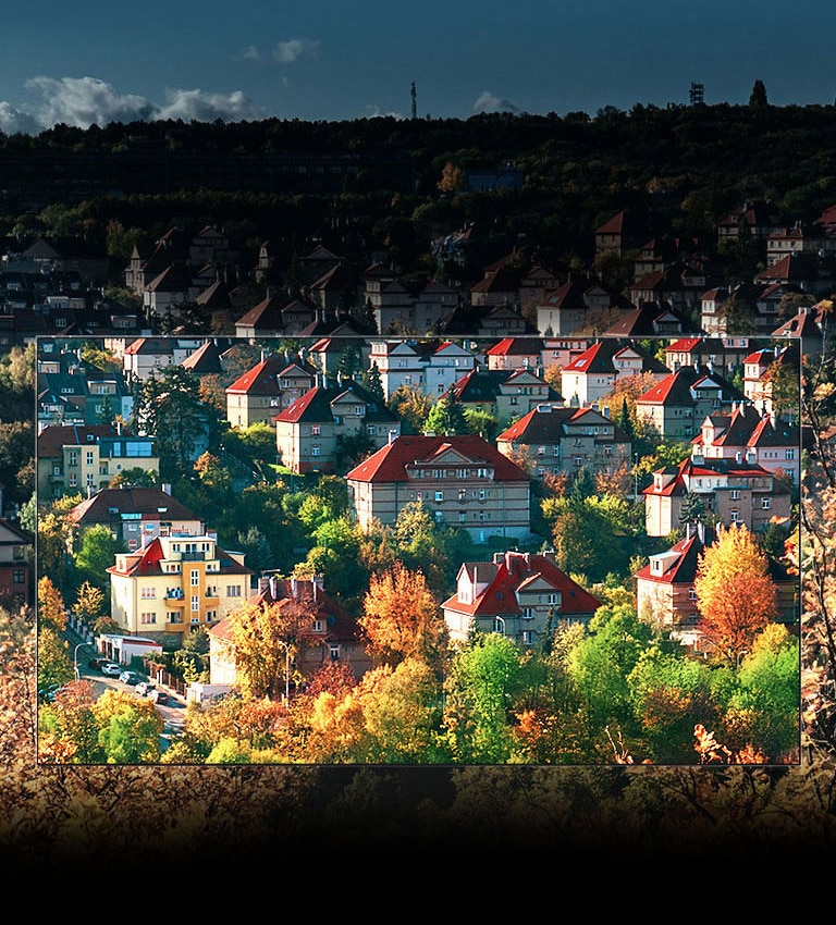 Spectacular colors by NanoCell™ Display<br>2