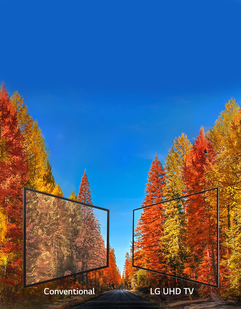 Consistent images at any angle<br>2