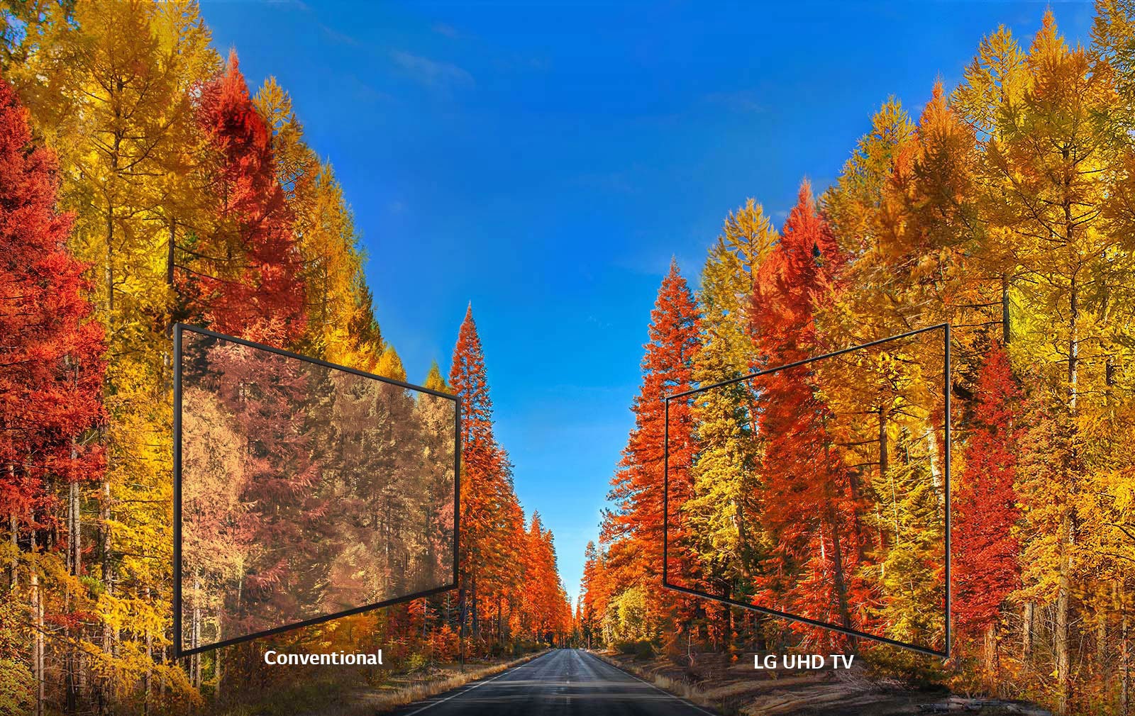 Consistent images at any angle<br>1