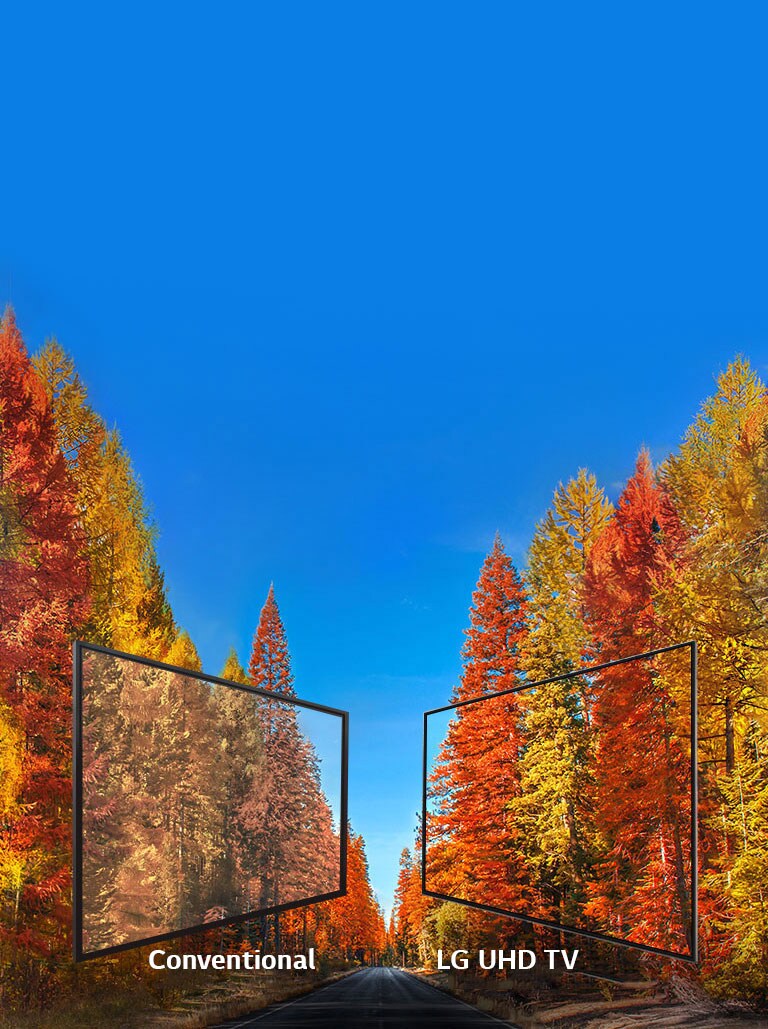 Consistent images at any angle<br>2