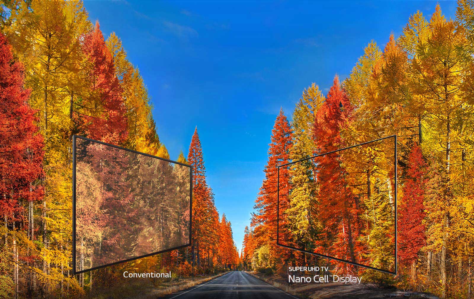 Revealing the truth about colors in TV<br>1