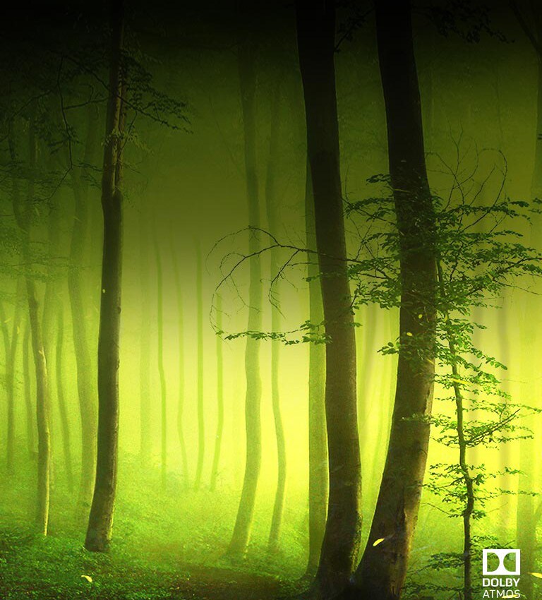 Dolby Atmos® Cinematic Sound at Home<br>2