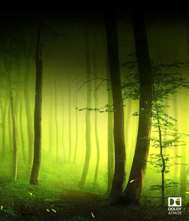 Dolby Atmos®<br>Cinematic Sound at Home<br>2