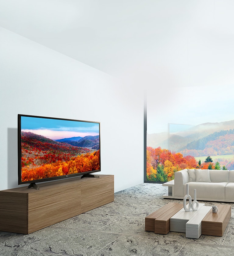 Sophisticated inside and out2