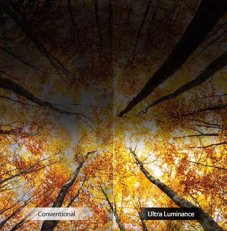 Boosted peak brightness<br>2