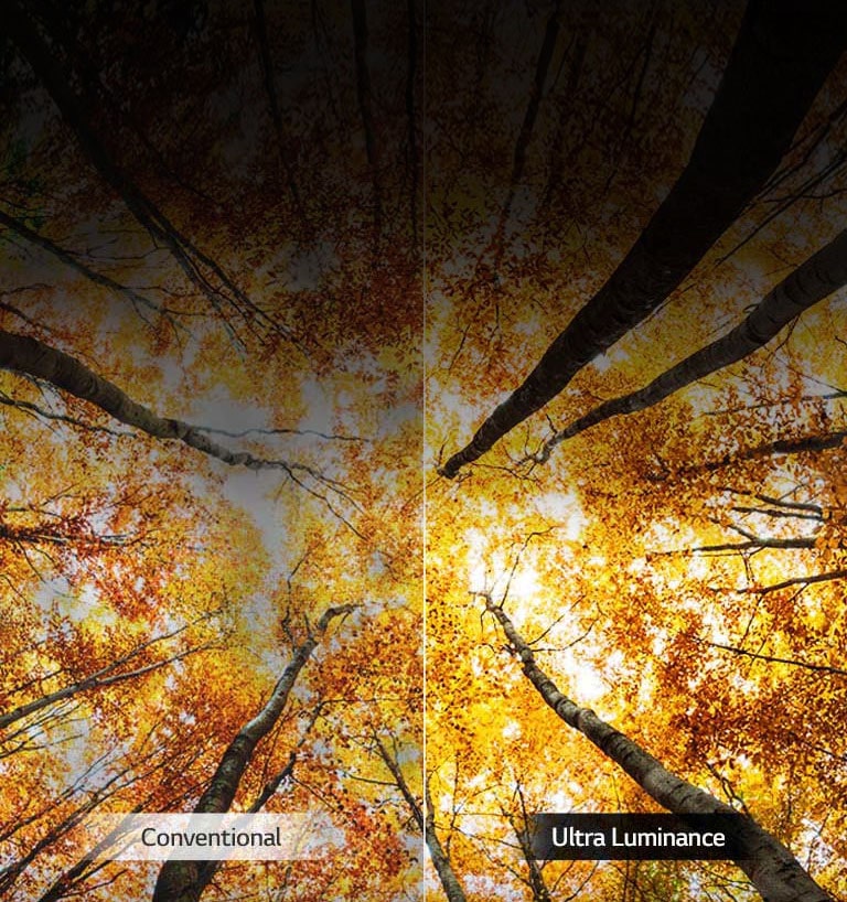 Boosted peak brightness<br>2