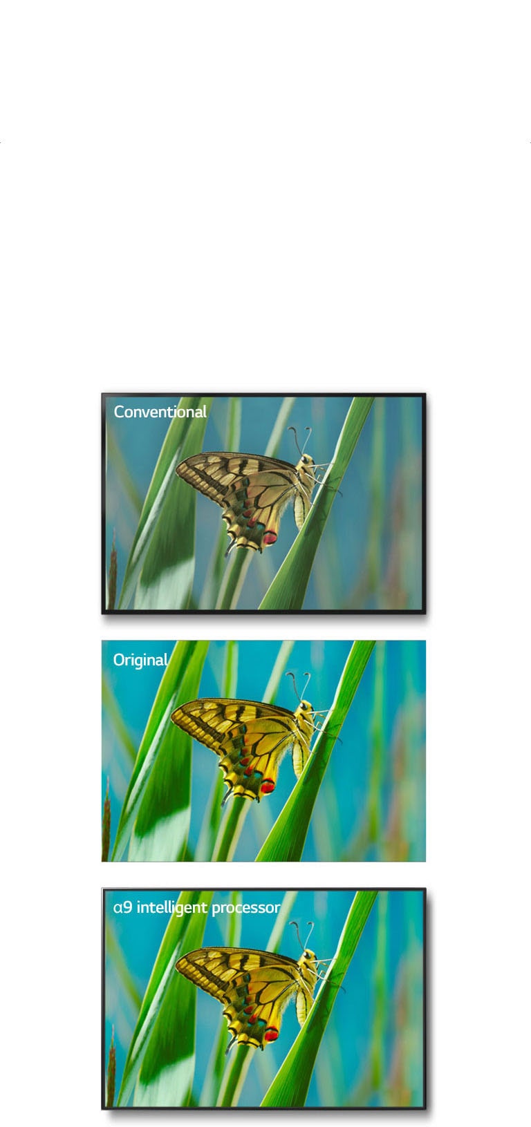 06_Alpha9_Color_Accuracy_mobile
