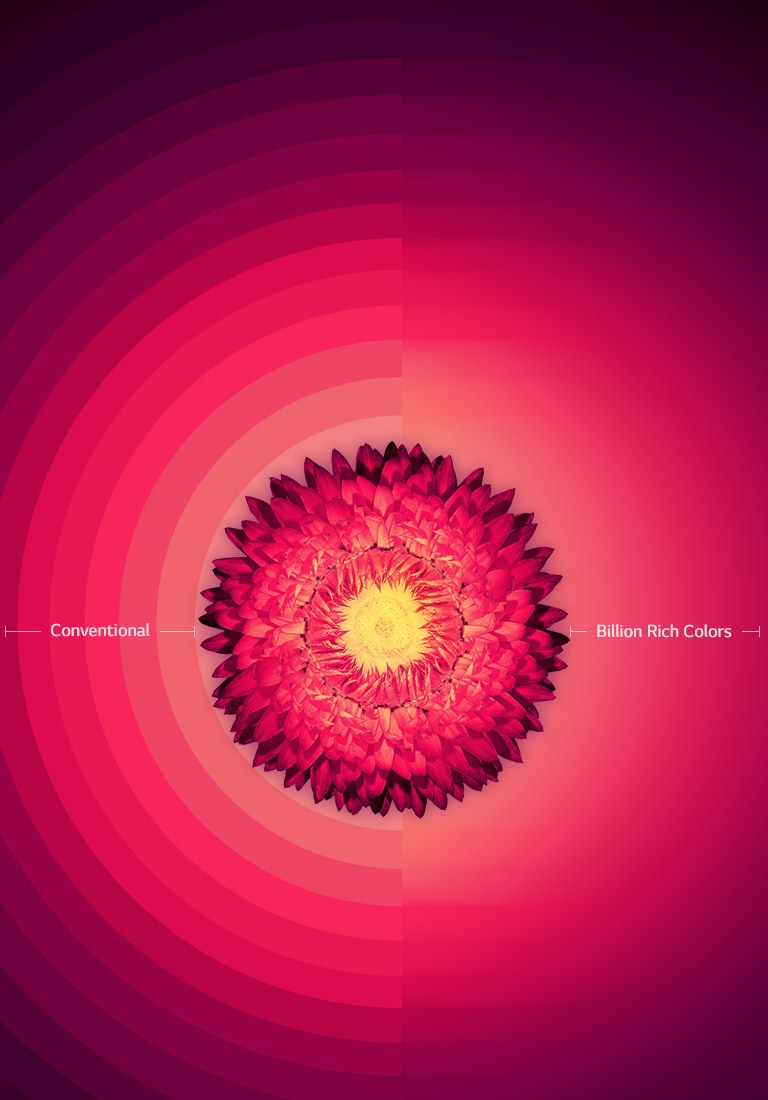 Billion Rich colors2