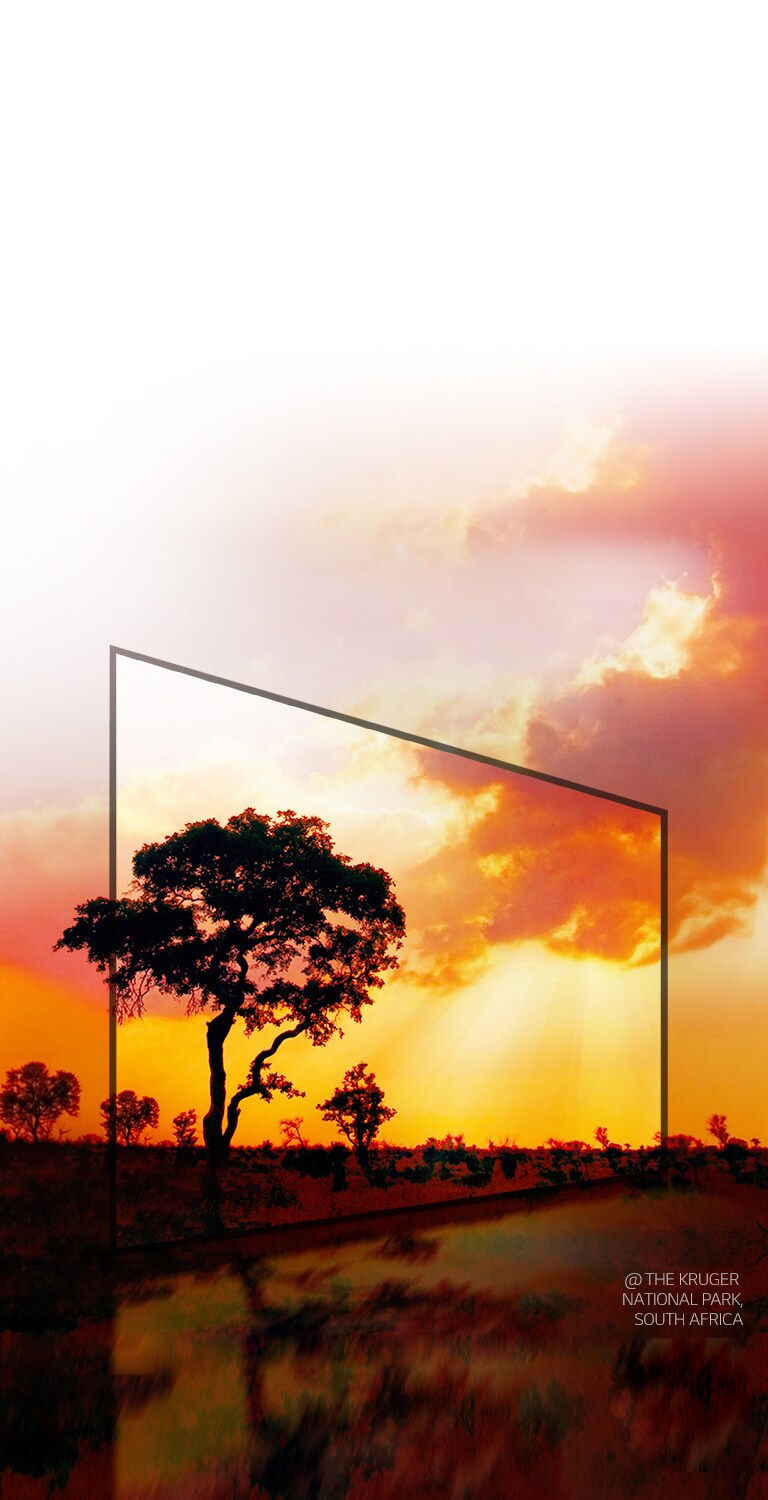 Active HDR, unlike other conventional HDRs2