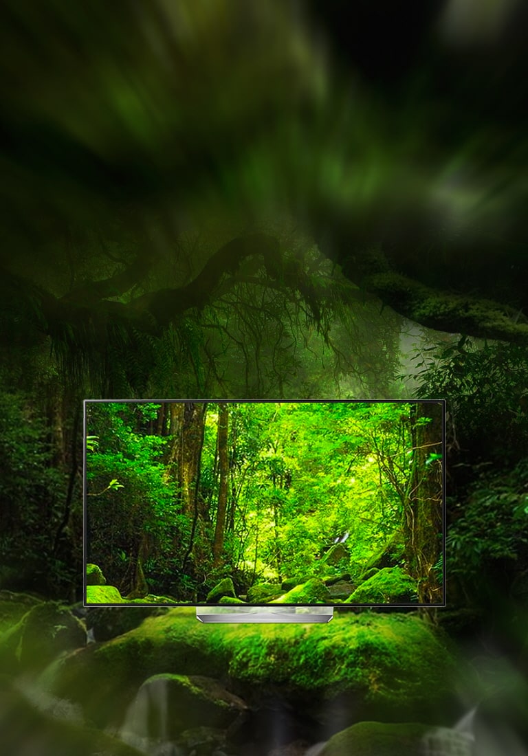 Dolby Atmos® brings the cinema sound to your room2