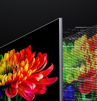 LG Micro RGB evo AI MRGB95, powered by RGB Primary Color Ultra, shows a flower image on the screen, with precisely controlled red, green, and blue light from distinct Micro RGB AI engines for vivid, accurate color.