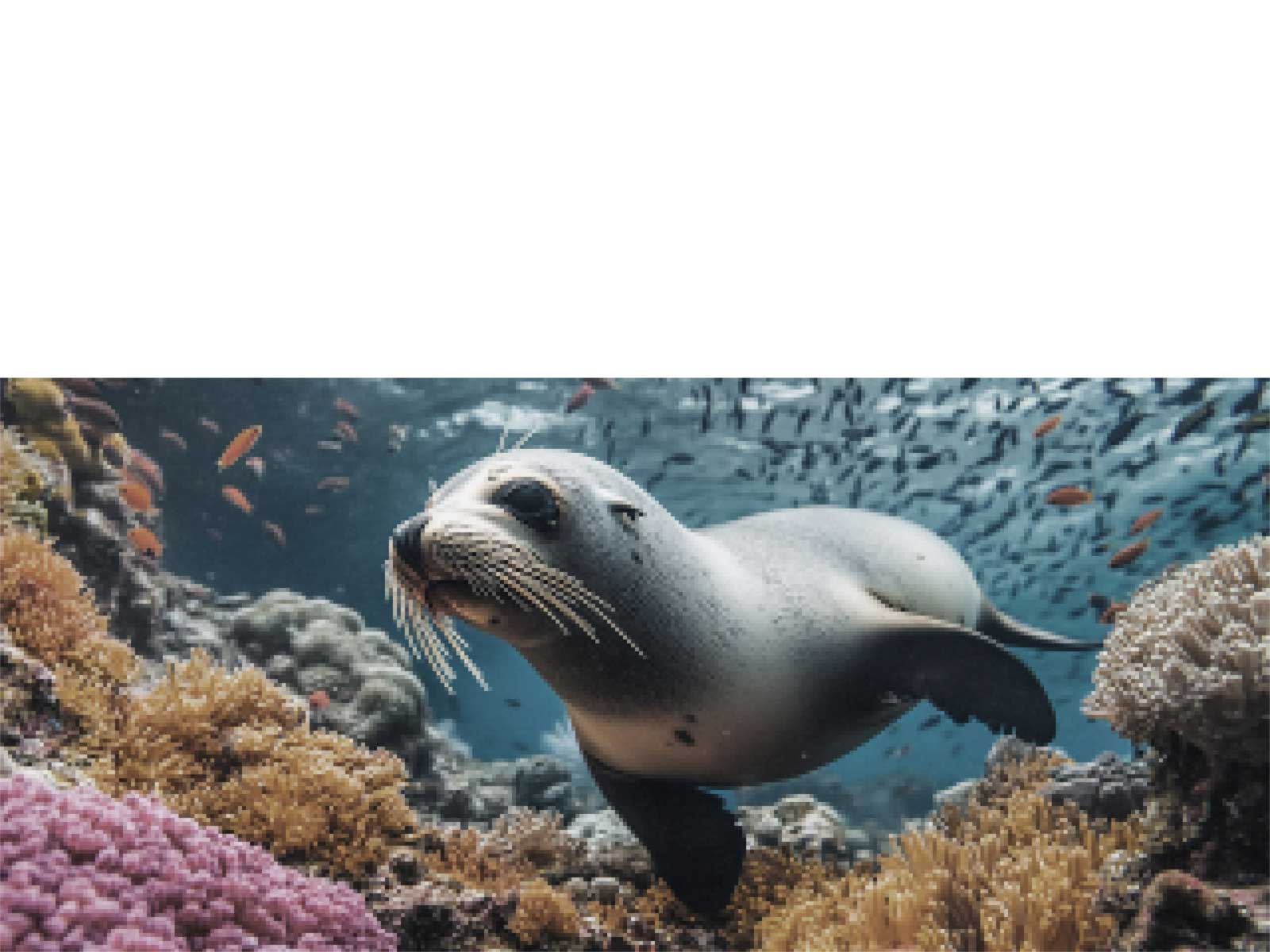 LG NANO 4K UHD AI NU85 with 4K Super Upscaling shows an underwater scene of a sea lion, as AI recognizes and upscales each frame up to 4K resolution, then zooms out to reveal a child watching up close, immersed in the vivid detail.