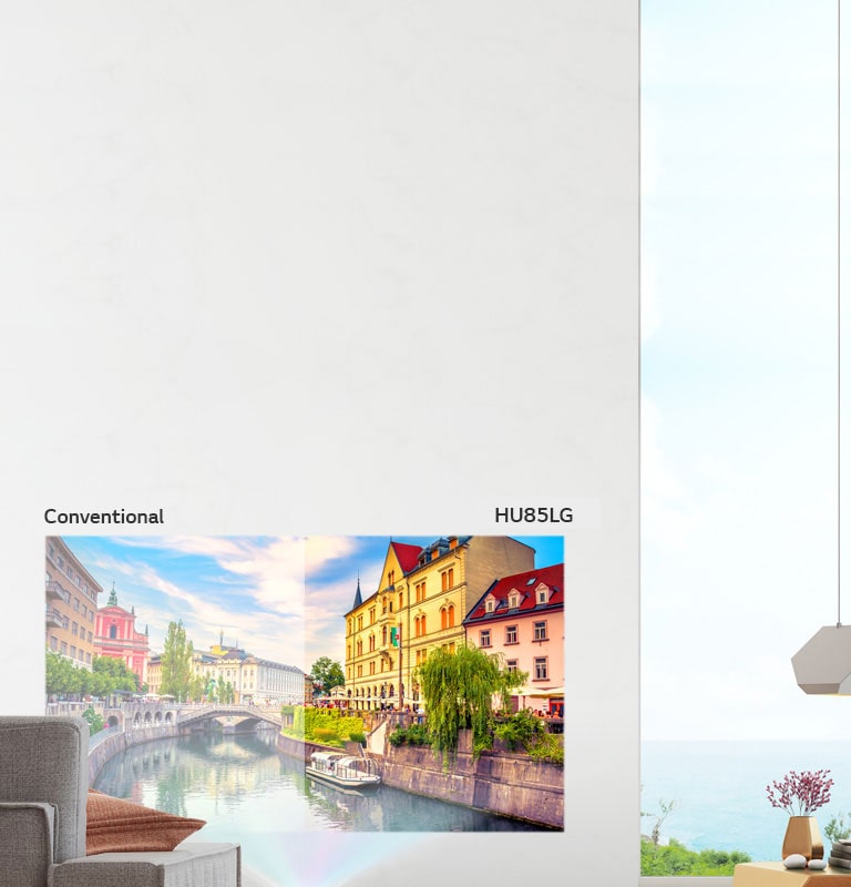 No Need to Close the Blackout Curtains2