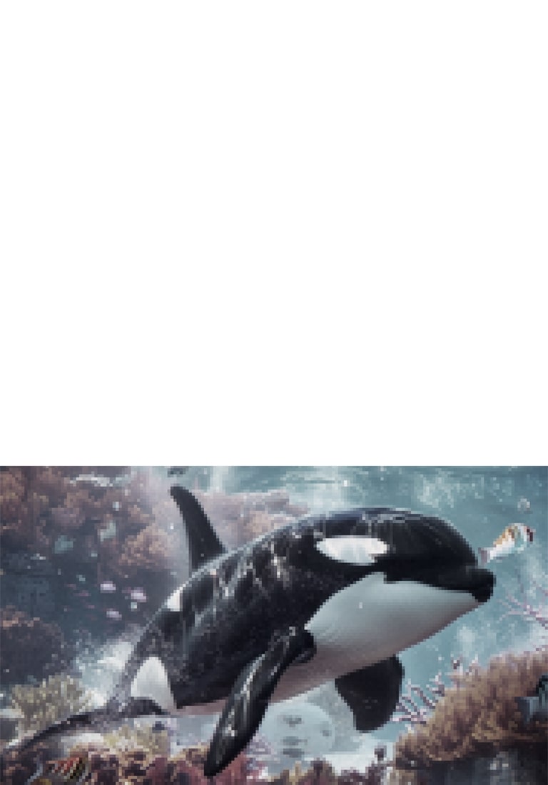 LG QNED AI QNED70 Mini LED with 4K Super Upscaling shows an orca swimming over a coral reef and fish, as AI upscales every frame toward 4K quality, then zooms out to reveal a child watching up close, immersed in the vivid detail.