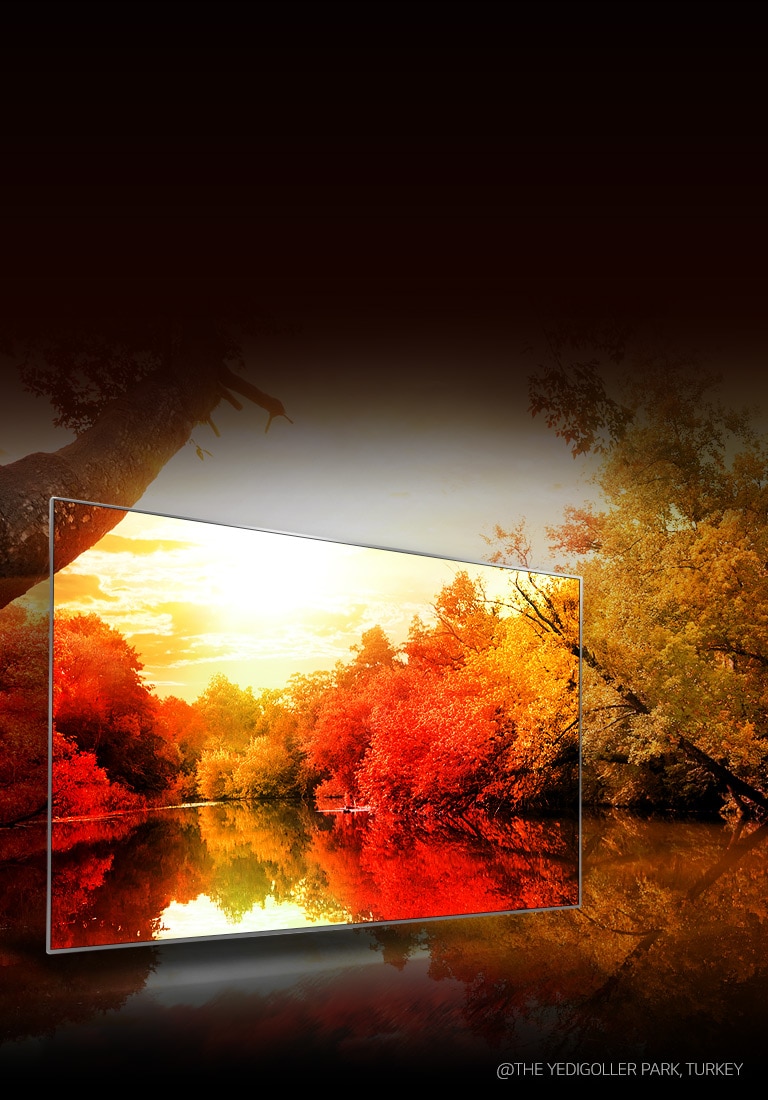 Colors to impress through billion rich colors2