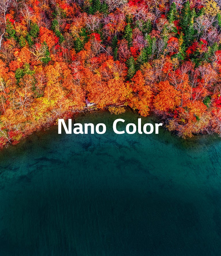 Refined Color Purity<br>2