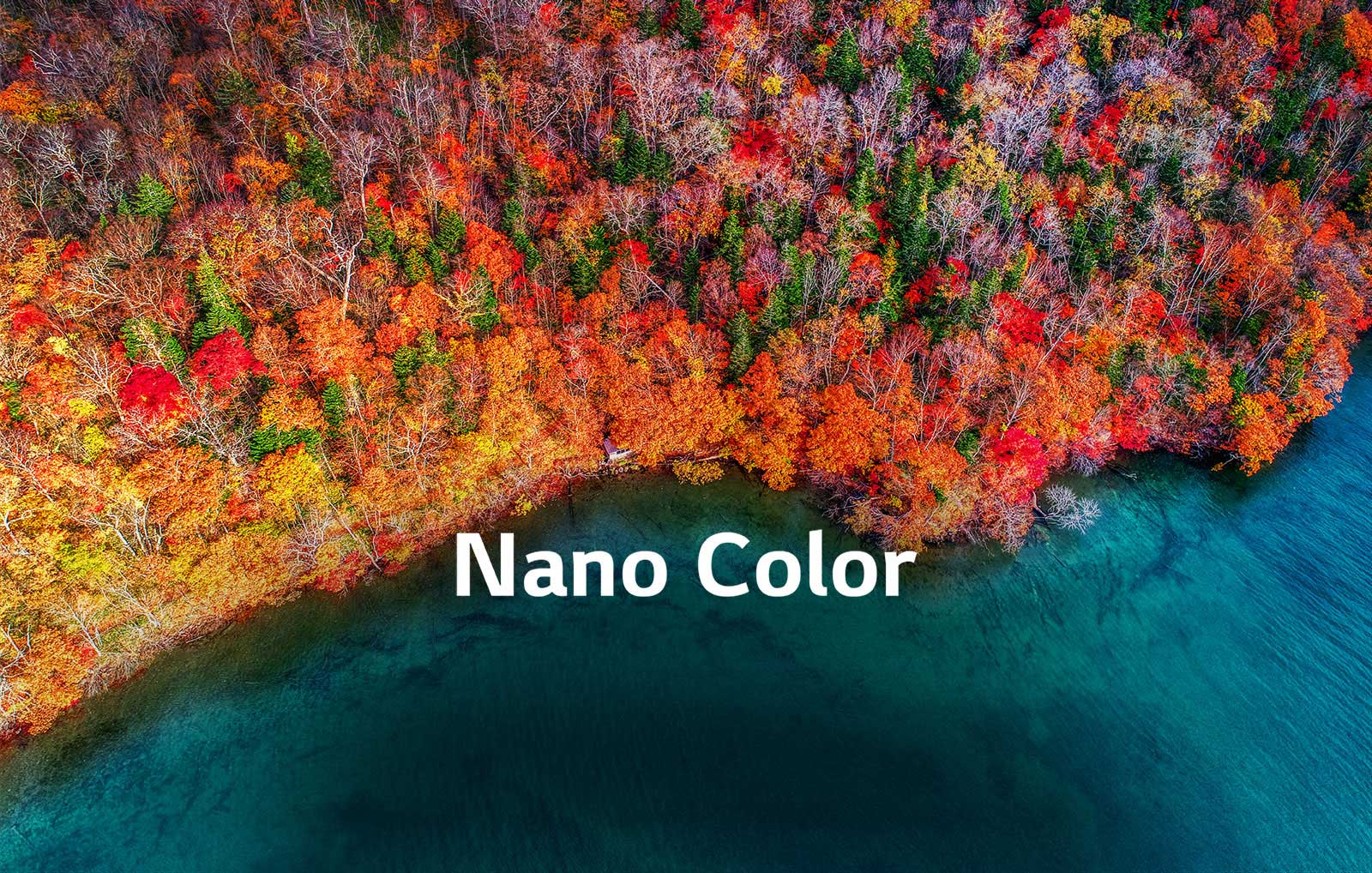 TV-NanoCell-SM86-02-Nano-Color-Desktop_v2